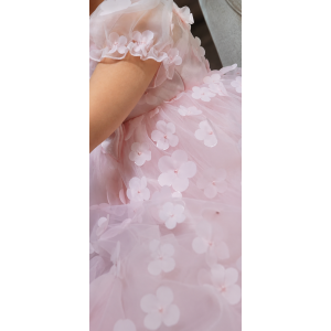  Επίσημο Φόρεμα Κοριτσιού με 3D Floral Λεπτομέρειες & Σατέν Φιόγκο